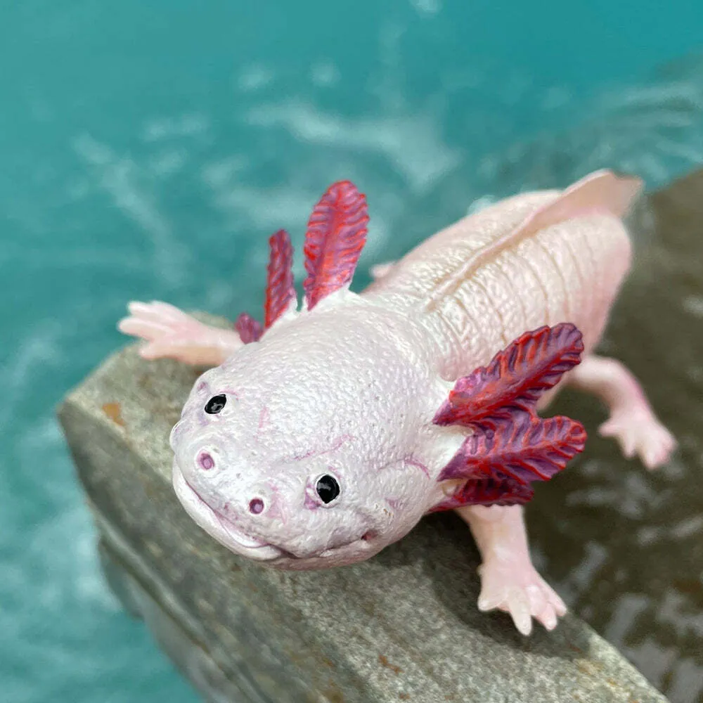 Axolotl Toy Figure