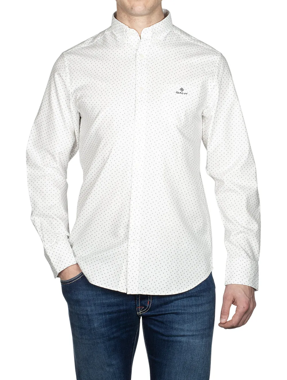 Regular Fit Micro Print Oxford Button-down Shirt White